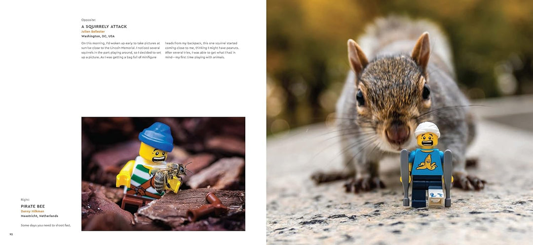 LEGO In Focus
