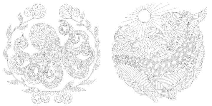Millie Marotta's Secrets of the Sea Pocket Colouring