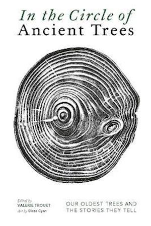 In The Circle of Ancient Trees