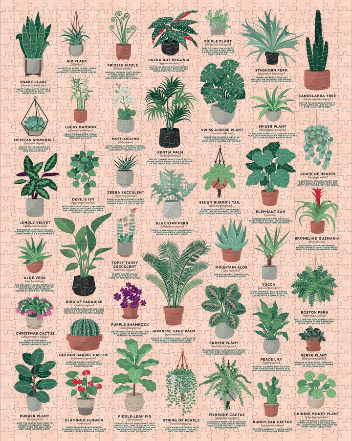 House of Plants - 1000 Piece Jigsaw Puzzle