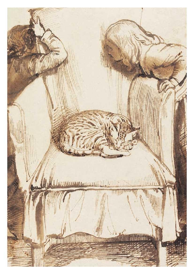 Cats - 50 Postcards