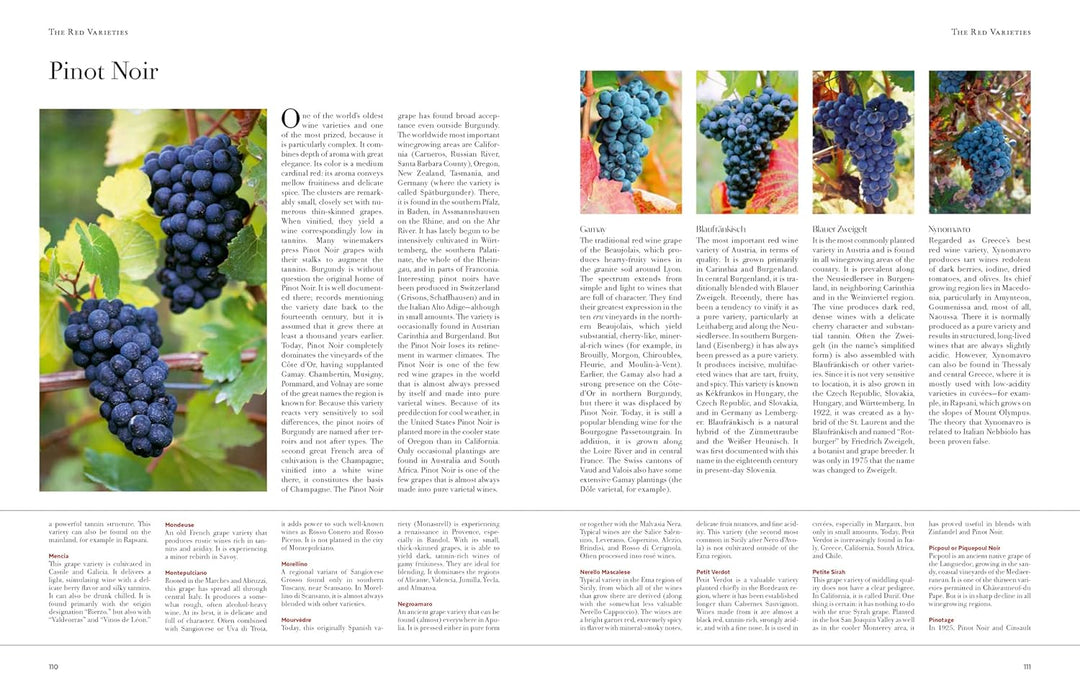Wine from Grape to Glass: The Wines of the World and how they are Made