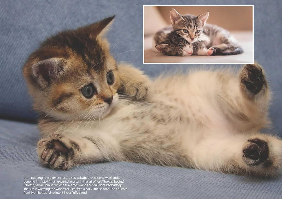 Love Cats
