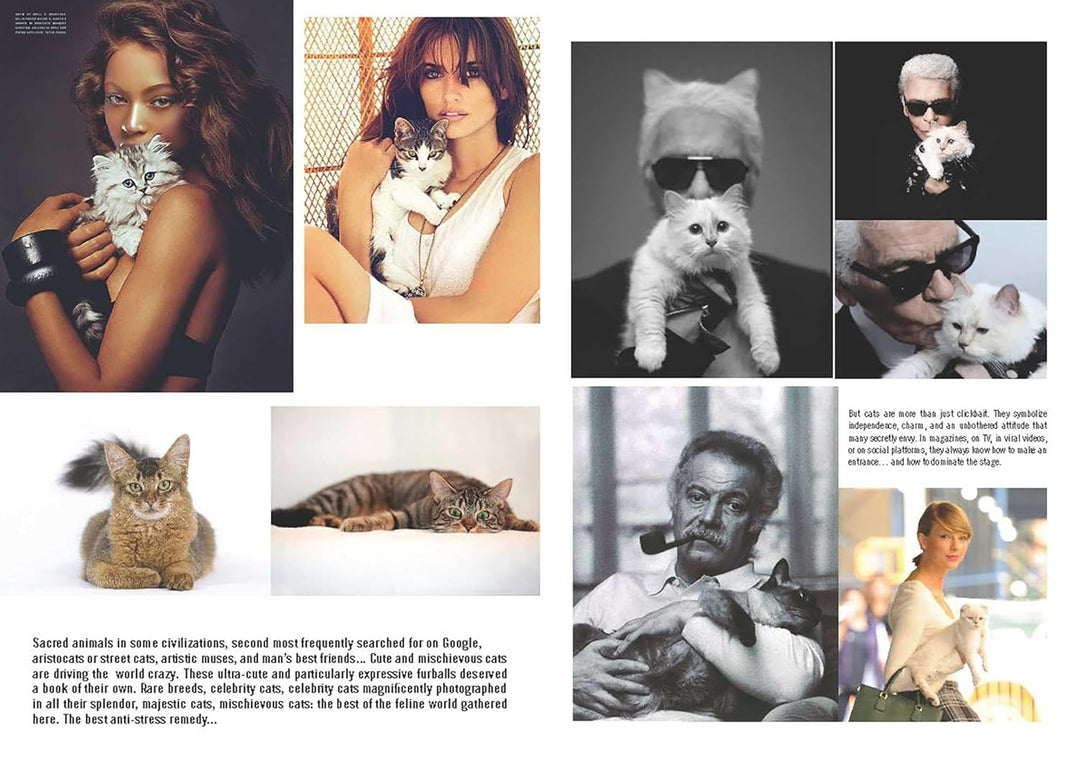 Love Cats
