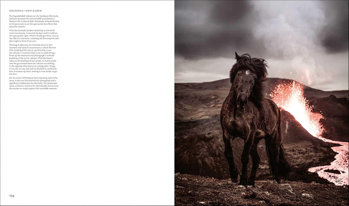 In the Land of Fire and Ice: Horses of Iceland