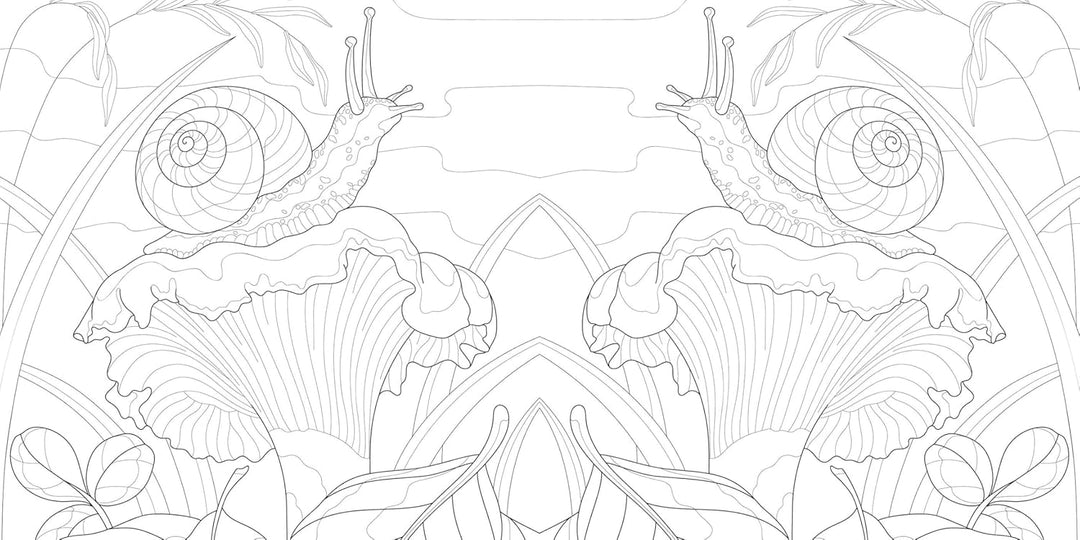 Magic Mushrooms Colouring Book