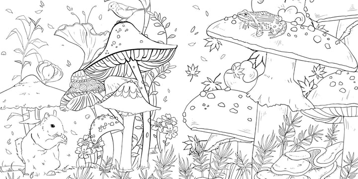Magic Mushrooms Colouring Book