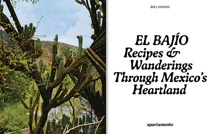 El Bajío
