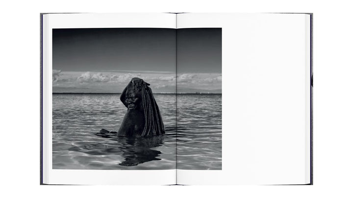 Somnyama Ngonyama. Hail the Dark Lioness. Volume II - Zanele Muholi