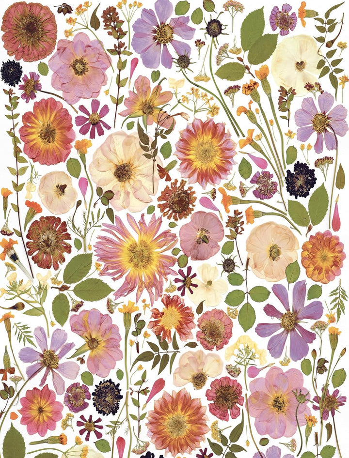 Beautiful Blooms - Wrapping Paper Book