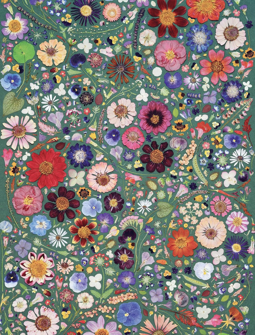 Beautiful Blooms - Wrapping Paper Book