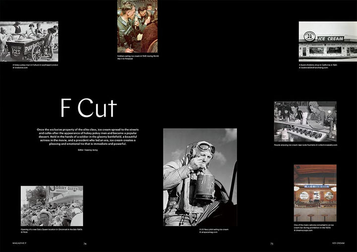 Magazine F Issue 17 ICE CREAM