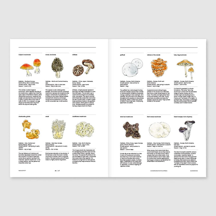 Magazine F Issue 23 MUSHROOM