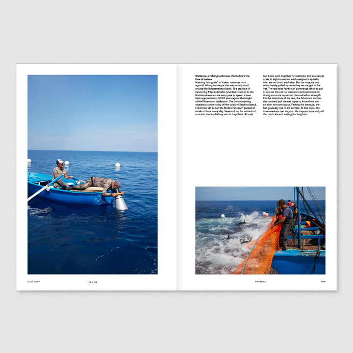 Magazine F Issue 27 FISH