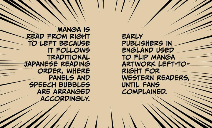 The Little Book of Manga