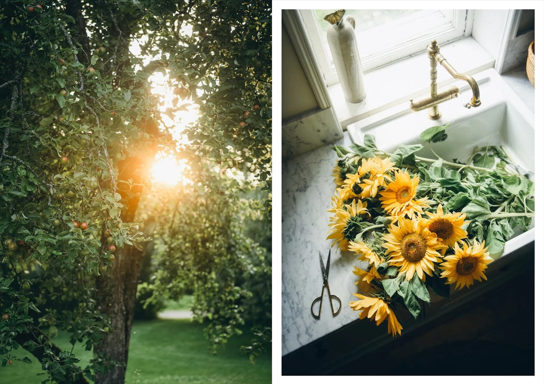 Nordic Summer Cookbook