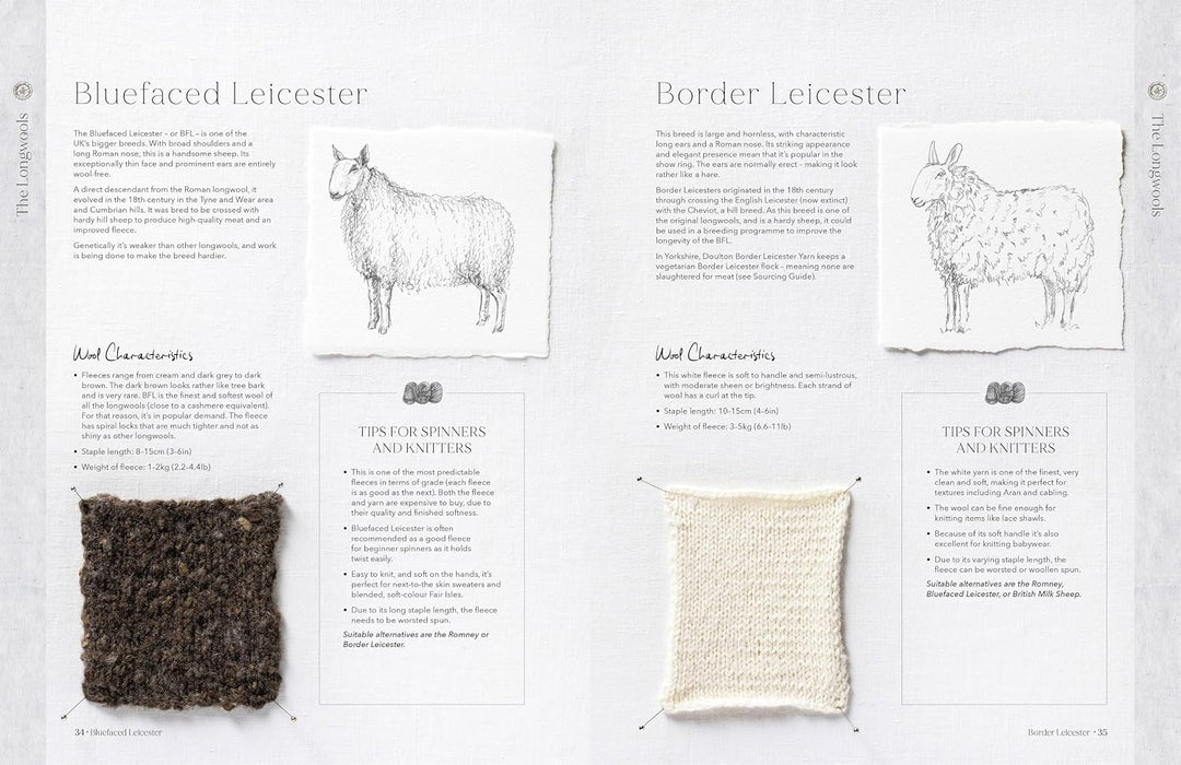 The Wonder of Wool