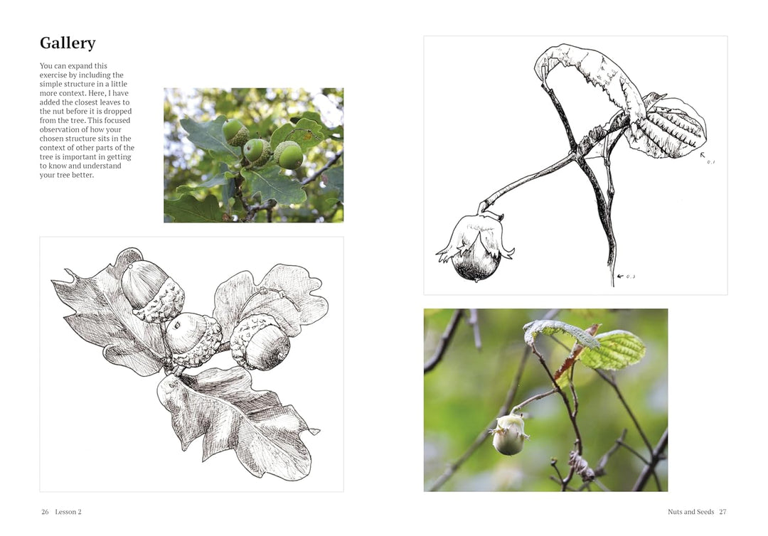 How to Draw a Tree
