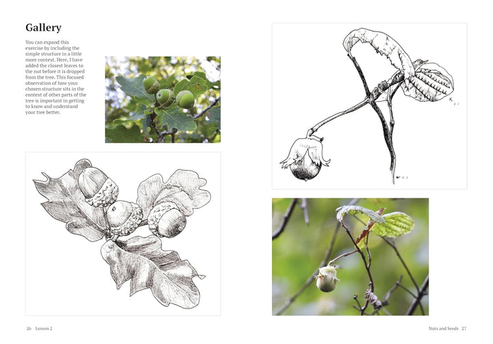 How to Draw a Tree