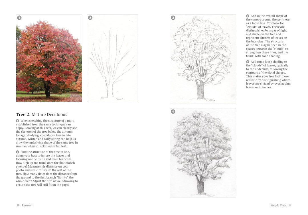 How to Draw a Tree