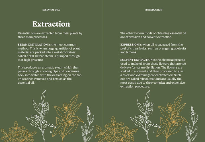 The Pocket Essential Oils