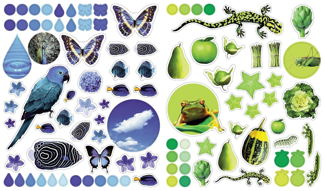 Eyelike Stickers: Colors