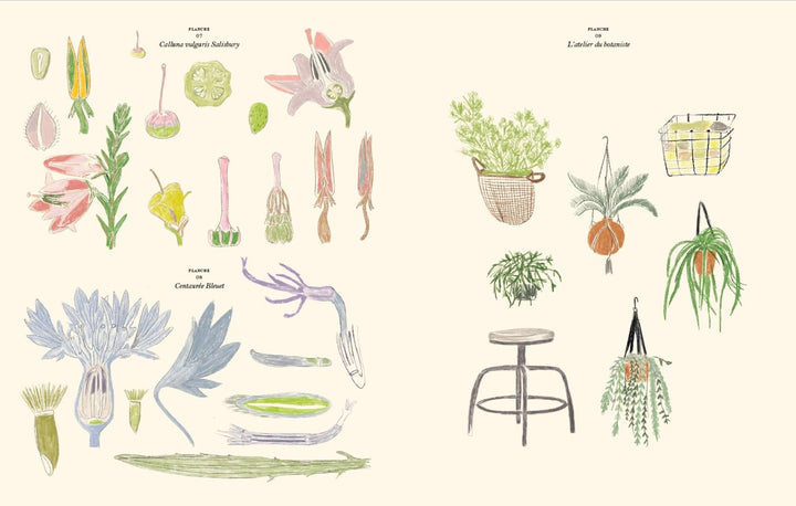 Le Jardin Coloriages et de stickers - Zoé de Las Cases - French
