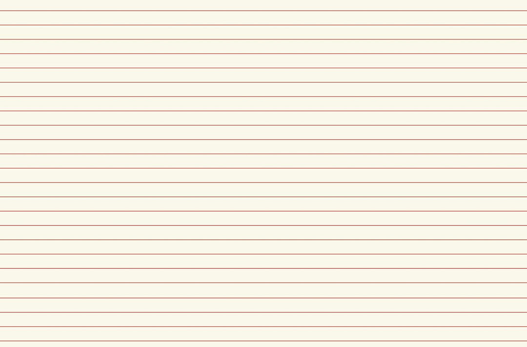 Le Bazar des Lettres - Zoé de Las Cases - French