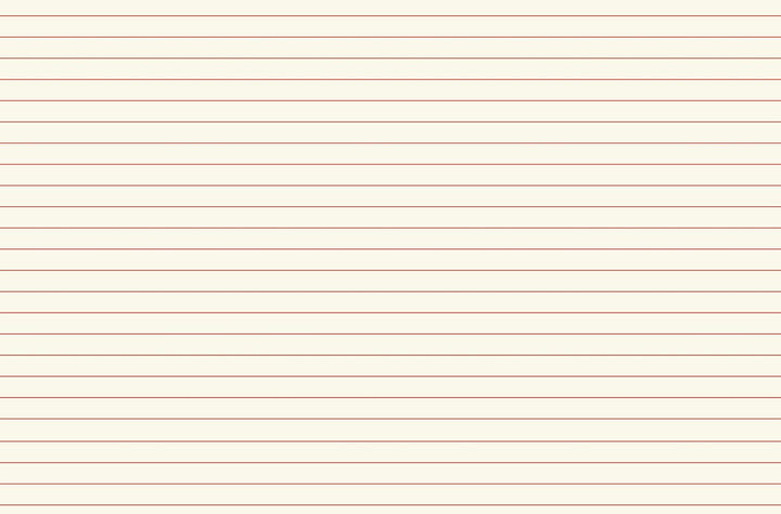 Le Bazar des Lettres - Zoé de Las Cases - French