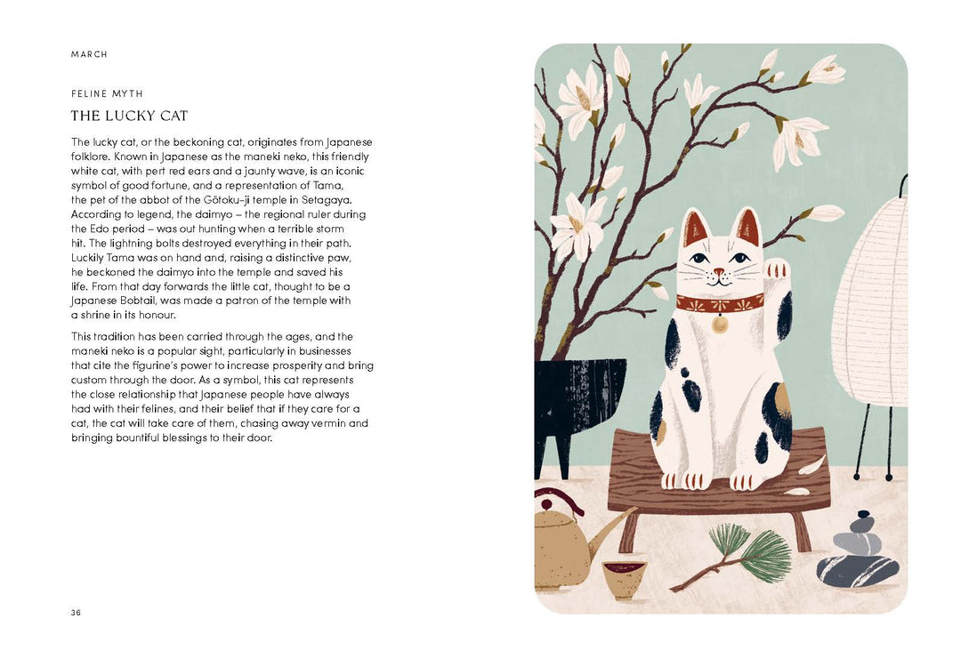 Cat Year