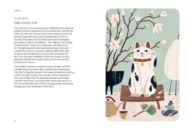 Cat Year