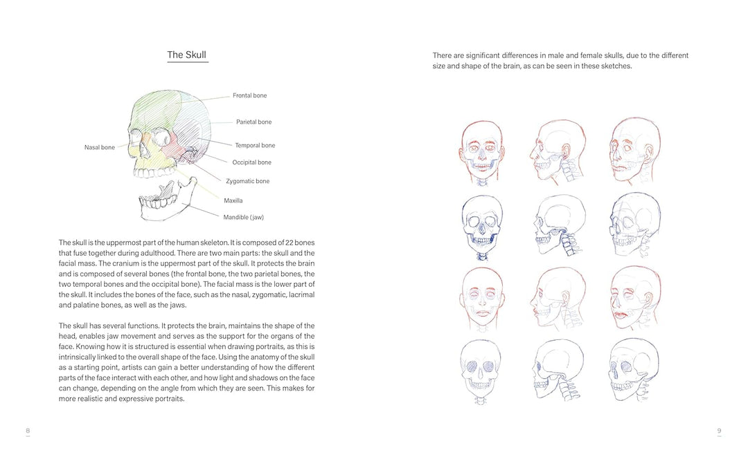 Draw faces