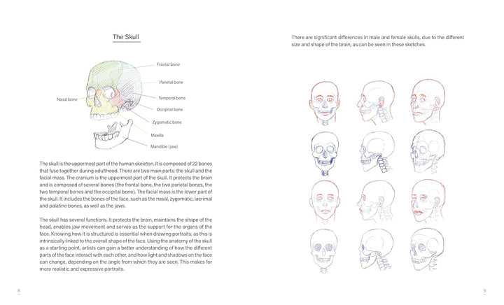 Draw faces