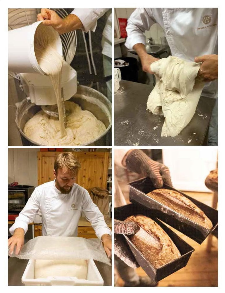 The Sourdough Baking Book