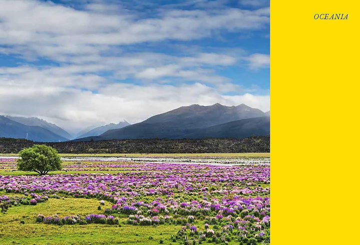 The Wildflower Travel Book