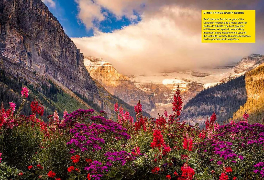 The Wildflower Travel Book