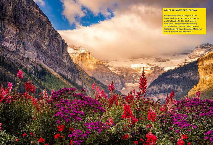 The Wildflower Travel Book