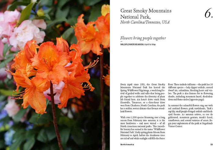 The Wildflower Travel Book