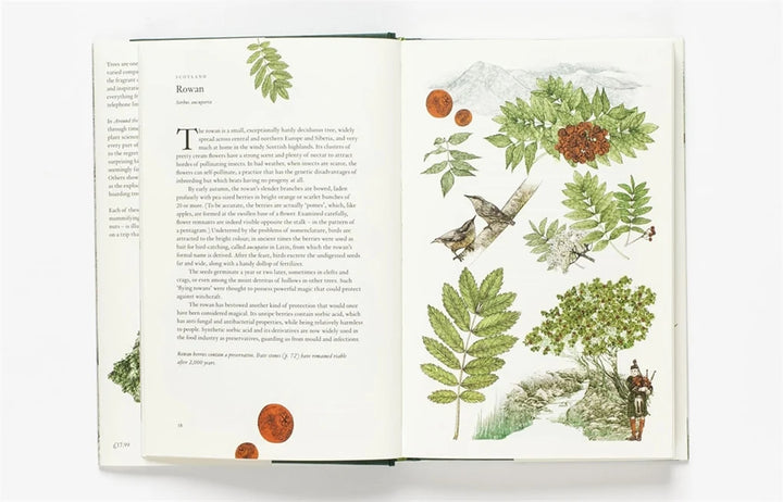 Around the World in 80 Trees