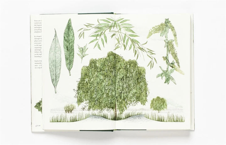 Around the World in 80 Trees