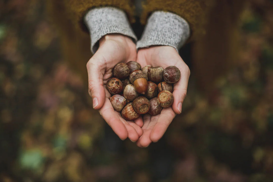 The Art Of Slow Living