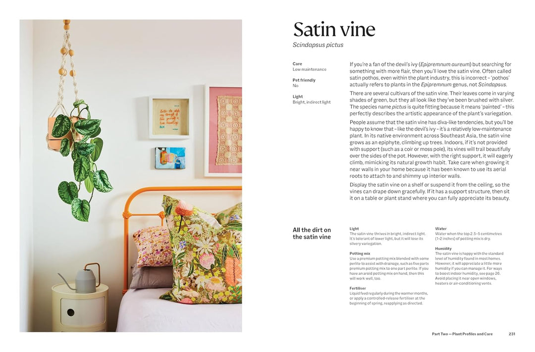 The Plant Book: The ultimate guide to thriving houseplants