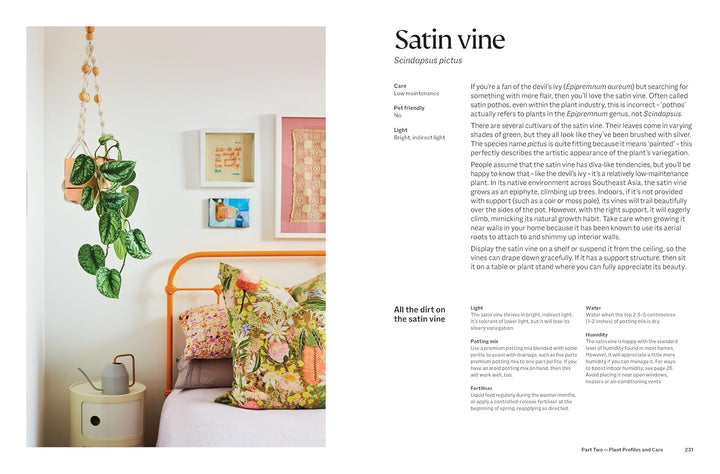 The Plant Book: The ultimate guide to thriving houseplants