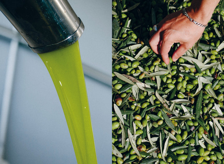 Olive Oil