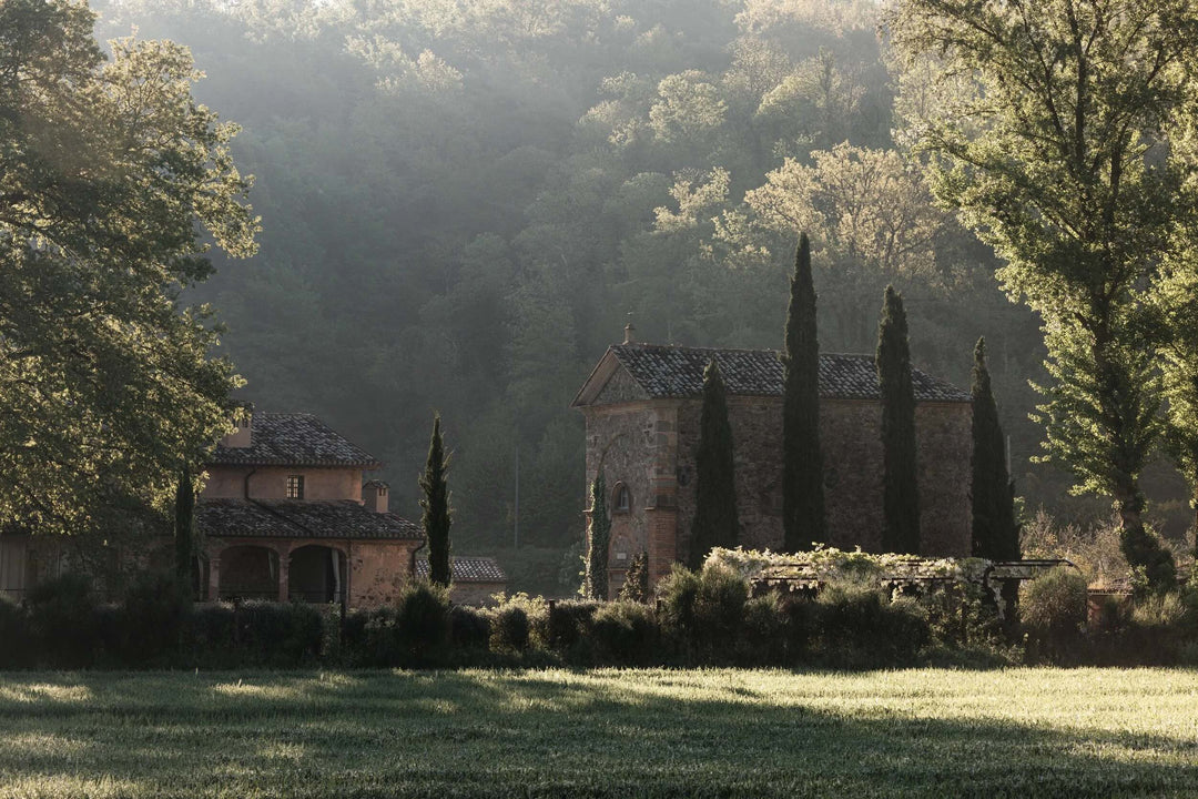The Aficionados - Unwaxed Lemons