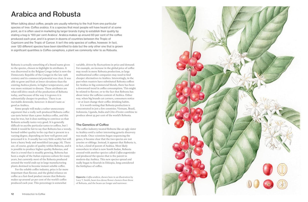 The World Atlas of Coffee 3rd edition