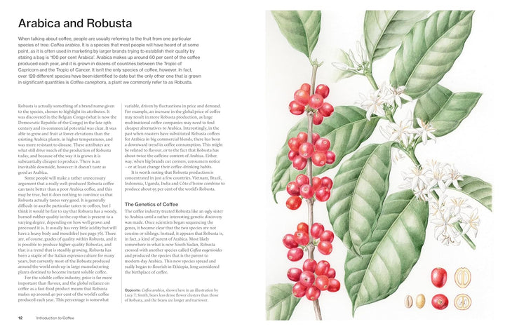 The World Atlas of Coffee 3rd edition