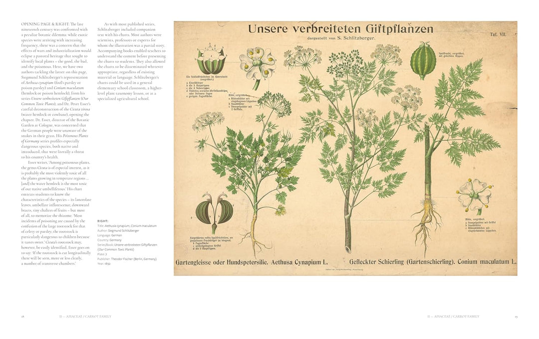 The Art of Botanical Painting