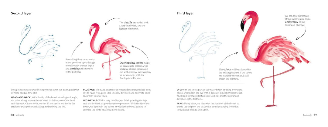 Animal Watercolour in 10 Minutes