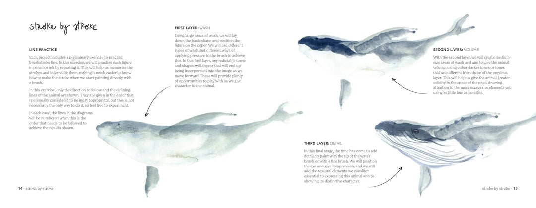 Animal Watercolour in 10 Minutes